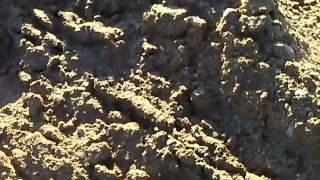 Pissing