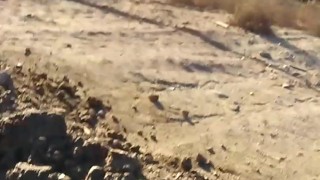 Pissing
