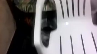 how he won the tittle