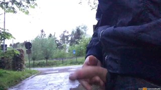 Dutch guy is jerking in public but a train is passing by