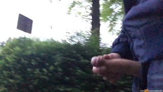 Dutch guy is jerking in public but a train is passing by