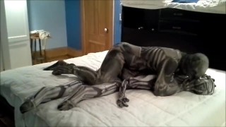 skull and bones morphsuit humps and android