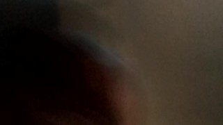 Black bear playing with dick