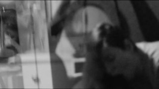 the mrs. gives me something to remember in the mirror