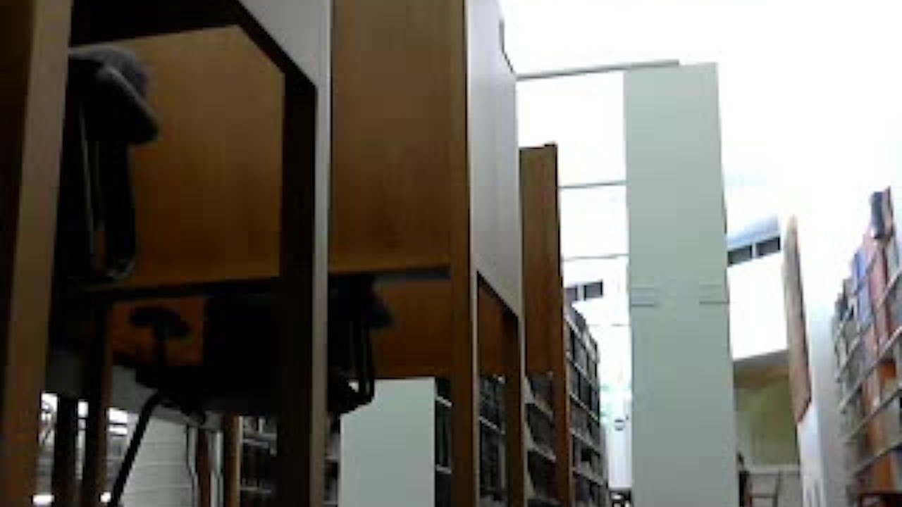 Ginger banks in the library