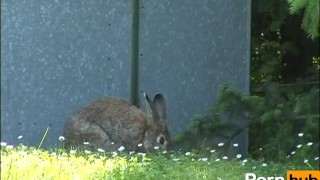 extreme addiction - Scene 1