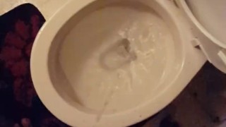 Alexs Piss After the Party