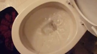Alexs Piss After the Party