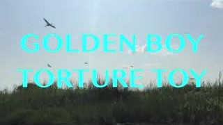 Golden Boy Torture Toy