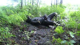 frogman quickly jerks off in shallow mud