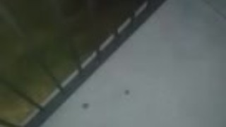 Playing with my cock on the balcony