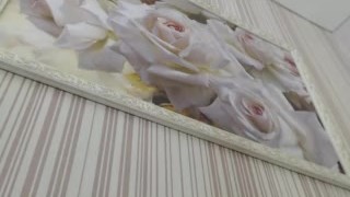 StellaAndStephan record #2