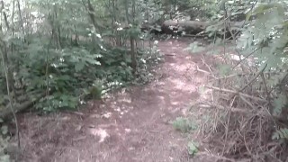 Off the Path: A Quick Walk in the Woods