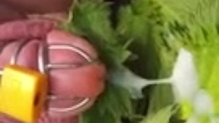 Nettle Torture Orgasm