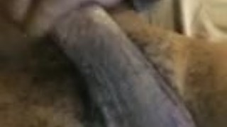 Just jacking my BBC