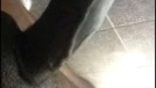 Big black cock on snapchat part 1