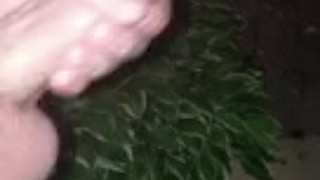 Big dick outdoors late night teen cumshot