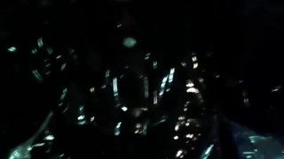 ARJANTANISIA BLACK SHINY PLASTIC