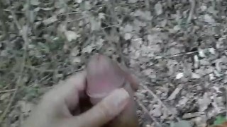 Guy Masturbating In a park