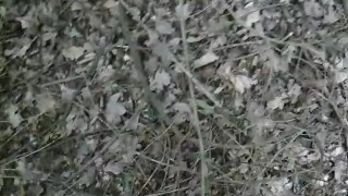 Guy Masturbating In a park