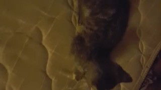 Veronica Way - Fidget Spinner on Dick