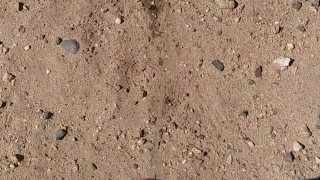 Pissing outside