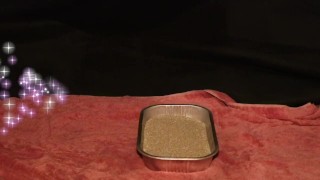 Daddy made me pee like a Pussy Cat