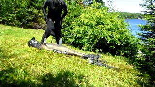 orca predator subdues his enemy outside