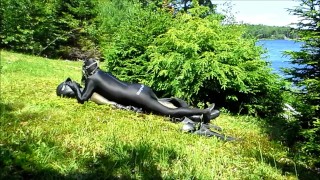 orca predator subdues his enemy outside