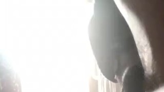 Stroking my dick in front of hotel window