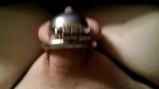 well someone is trying to excape from his new home