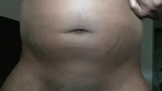Swallow