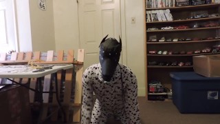 Just a short puppy play vid