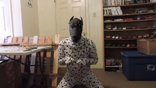 Just a short puppy play vid