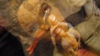 CloseUp&SlowMotion sc 4: Vicca, Jennifer Stone, Aletta Ocean