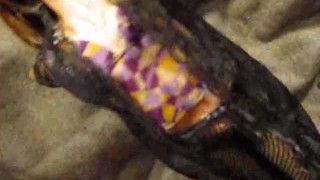 BBB Preview: Monica Sweetheart black lace (cumshot only)