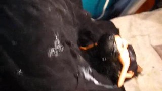 BBB Preview: KLS "Pre-Cum & Cream" (cumshot only)