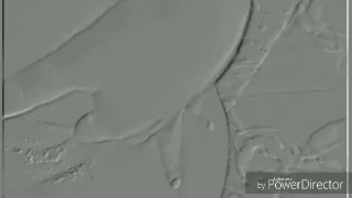 I'll suck you way better