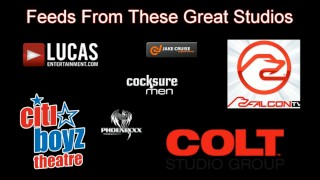 Badpuppy Model Endo Black