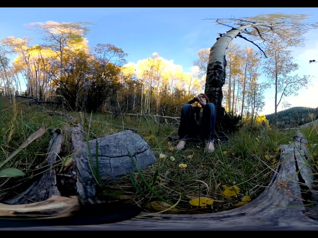 360vr Fucking Myself With Bad Dragon Dildo Under Yellow Aspens. Freckledred 