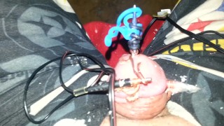 Electro torture my tiny penis feel free to humiliate it