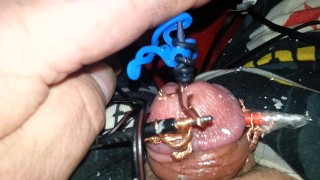 Electro torture my tiny penis feel free to humiliate it