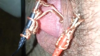 Electro my tiny penis plz comment humiliate it plz