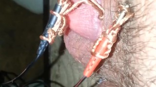 Electro my tiny penis plz comment humiliate it plz