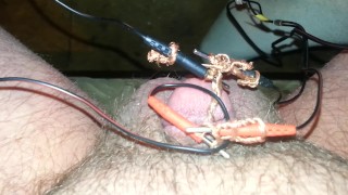 Electro my tiny penis plz comment humiliate it plz