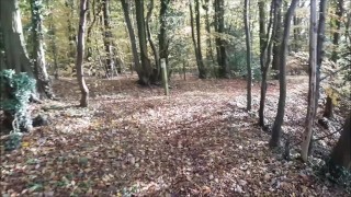 Public Doggystyle & Cum Gargle On Woodland Path