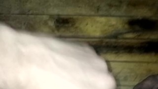Cumshot
