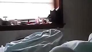 Early morning foolry...