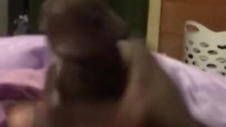 Quick Nut