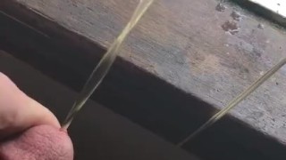 Teen pissing quick out window big cock
